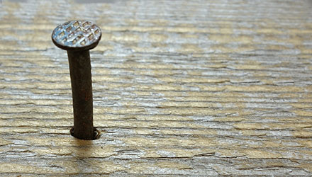 Foto der News