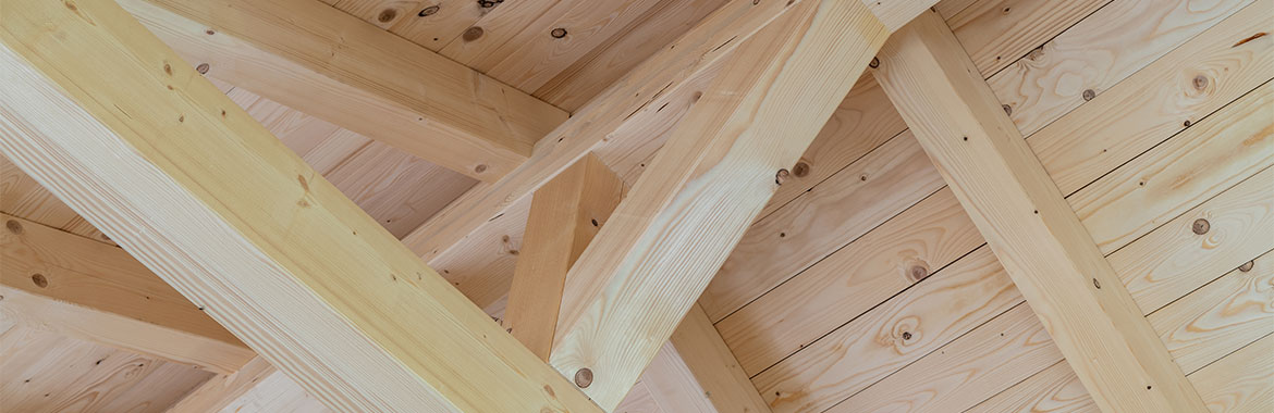Headerbild