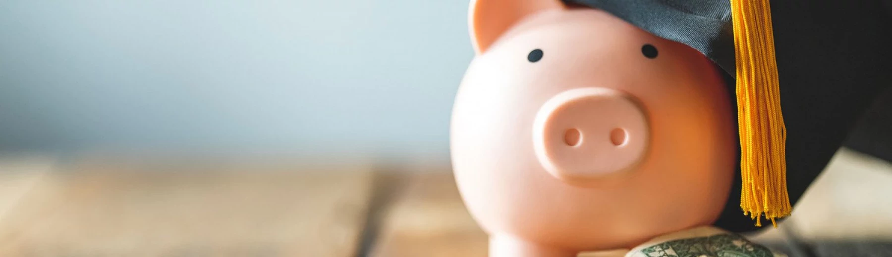 Sparschwein mit Akademikerhut und Geldscheinen, Copyright: mnirat - stock.adobe.com