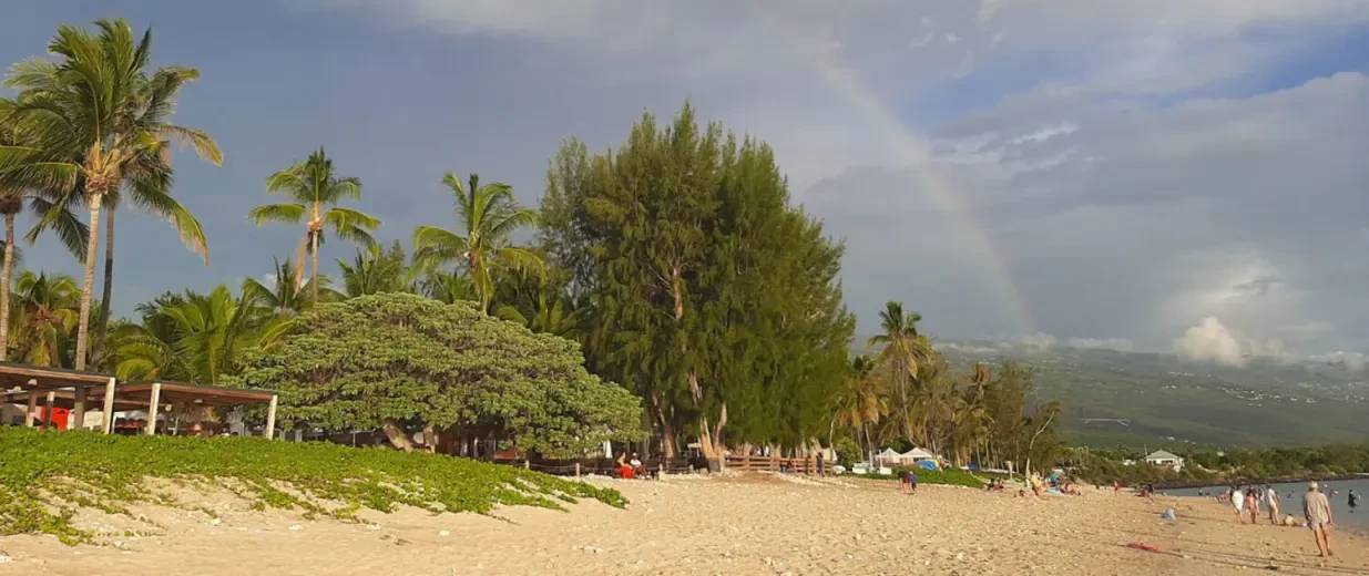 Strand und Palmen mit Regenbogen im Hintergrund, Copyright: BZB