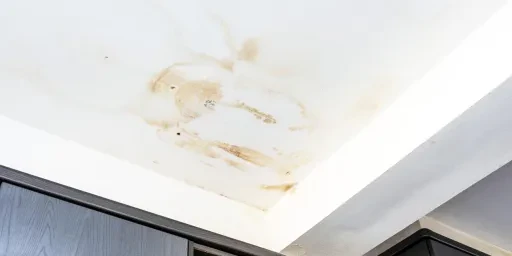 Wasserschadensanierung: Das Zukunftsgeschäft, Copyright: annebel146 - stock.adobe.com