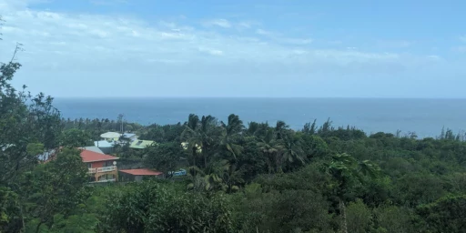Panorama-Foto von der Insel La Reunion im Pazifischen Ozean, Copyright: BZB