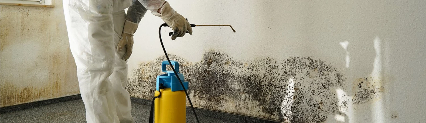Beseitigung von Schimmel an einer befallenen Wand, Copyright: keine Angaben